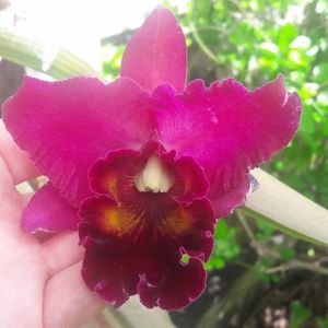 Meet your Posher, Olga